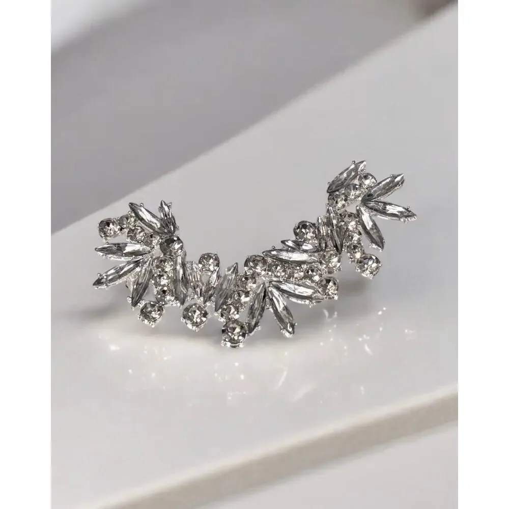Luxury Right One Piece Silver Earring - Picture 5 of 6